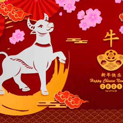 2021新春快(kuài)樂(yuè)，牛年(nián)大(dà)吉！